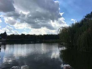 六盤(pán)水優(yōu)秀原創(chuàng)作品推薦 珍惜