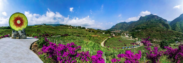 六盤水市水城區(qū):"五型"村居固成果 鄉(xiāng)村振興開新局