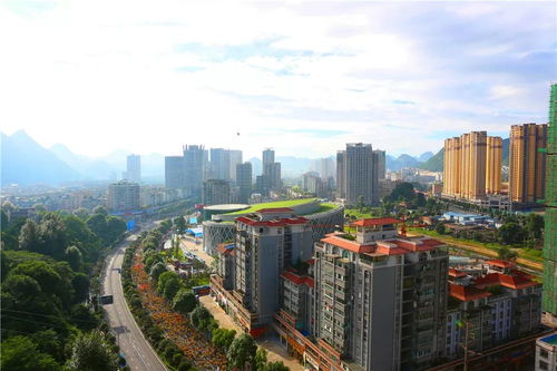 關(guān)于打印六馬物資領(lǐng)取單這件 小 事兒