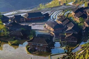 要立秋了,六盤水有個世界級的村子在等著你