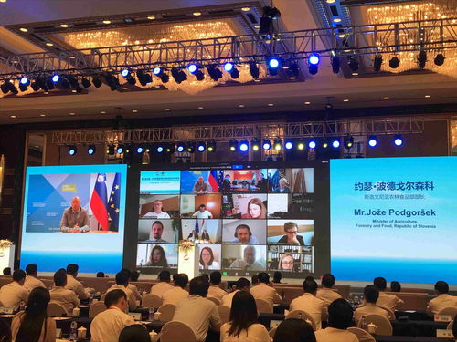 海關總署 中國對中東歐國家進出口貿易持續穩定增長